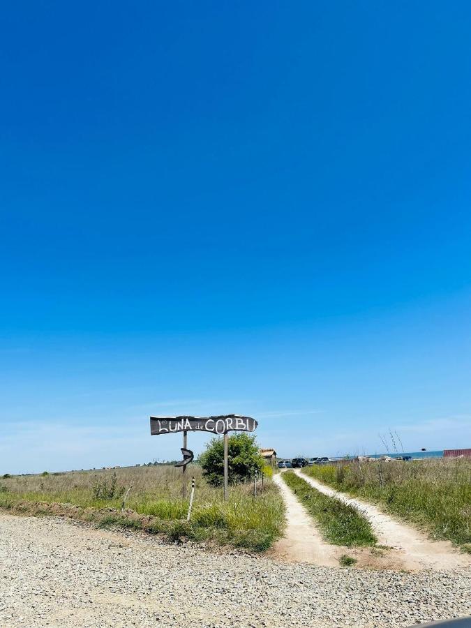 Wild Corbu Beachfront cozy room Zewnętrze zdjęcie