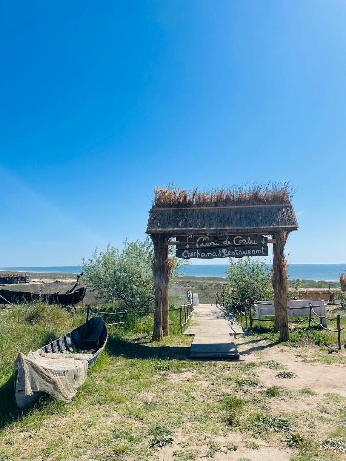 Wild Corbu Beachfront cozy room Zewnętrze zdjęcie